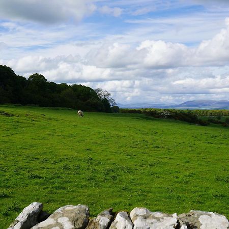Roe Deer Lodge Newton Stewart Buitenkant foto