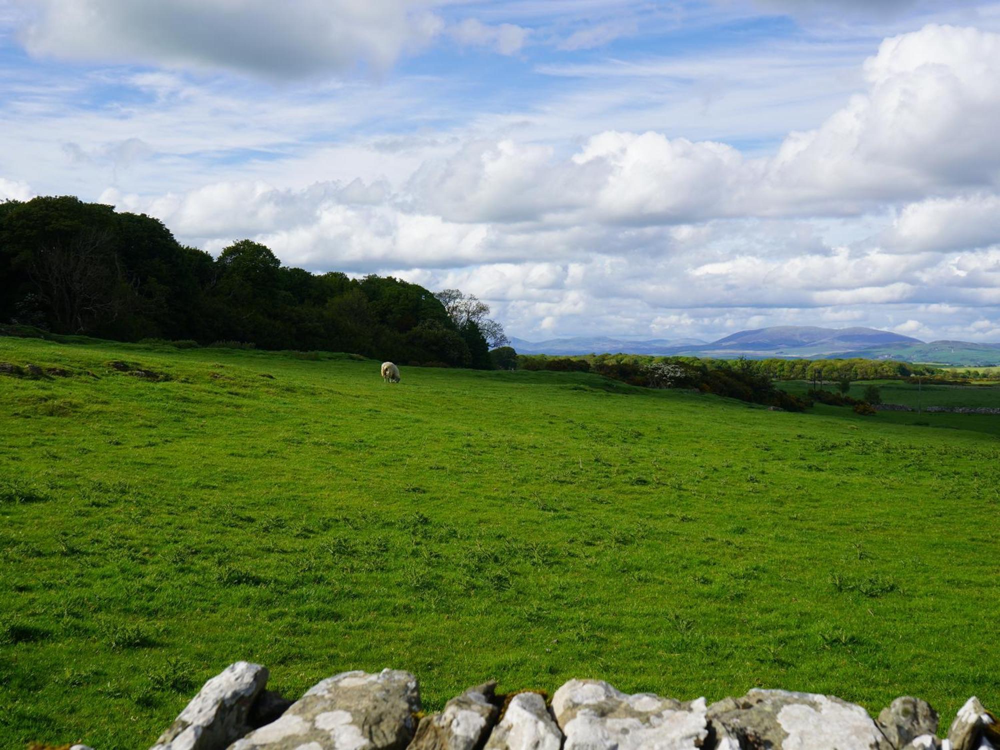 Roe Deer Lodge Newton Stewart Buitenkant foto