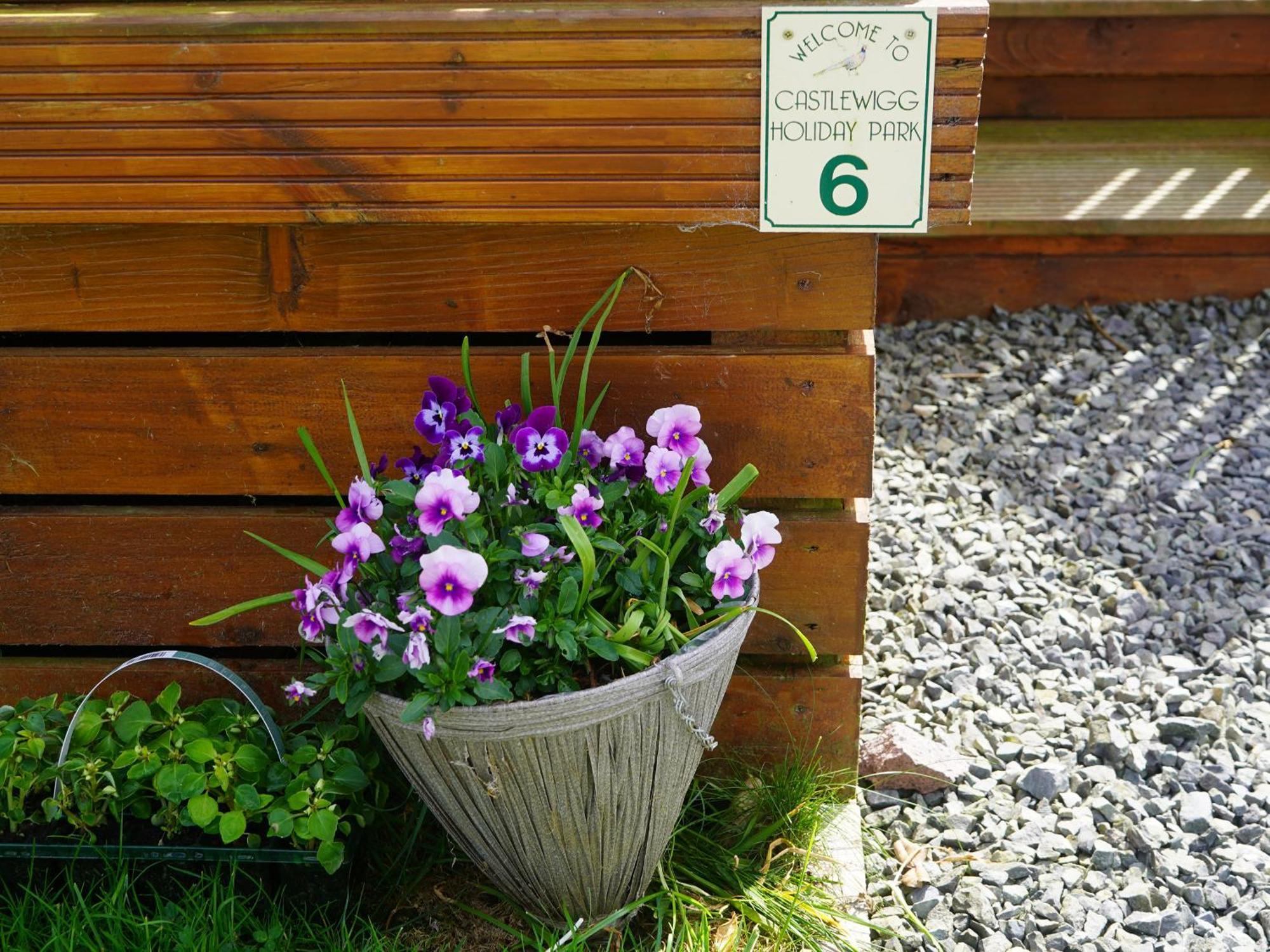Roe Deer Lodge Newton Stewart Buitenkant foto